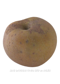 pomme reinette grise du canada pommes demeter